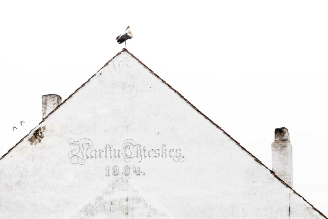 Storch auf Historischem Giebel, Tartlau (Prejmer), Kronstadt (Brasov), Siebenbürgen.